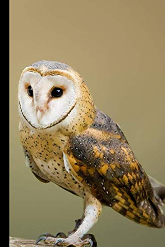 Owl notebook: Small lined Owl notebook - Travel Journal to write in - 120 pages - 6"x9"