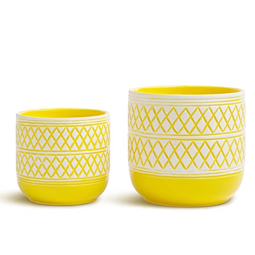 Brighten Your Outdoor Space with Yellow Flower Pots