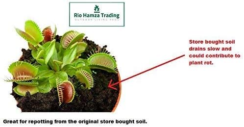 Carnivorous Plant Soil Mix, 1 Quart Re-Pot 1-2 Small Plants Size Bag, All Natural Ingredients, Great Soil for Venus Fly Traps, Sundews, and Pitcher Plants (1qt)