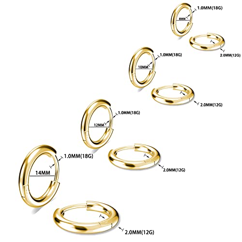 Image of 316L Surgical Stainless Steel Small Hoop Earrings 8mm 10mm 12mm 14mm Hypoallergenic Huggie Hoop Earrings Helix Lobes Hinged Sleeper Earrings Men Women for Cartilage Piercings