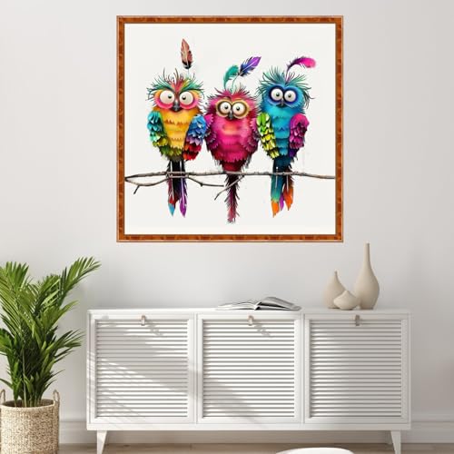 Image of Findvoor Stamped Cross Stitch Kits for Beginner Embroidery Kits for Beginners Adults DIY 11CT Cross Stitch Patterns Needlepoint Kits Crossstitching Kits-Three Colorful Birds 18x18 inch