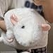 Imagen de Peluche De Rata Gigante, Peluche De Rata Rechoncha
