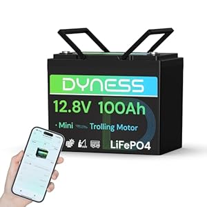 Dyness LiFePO4 12V 100Ah Lithium Batterie Bluetooth Mini mit 100A BMS, Max.15000 Zyklen, 12V Deep Cycle Lithium Eisenphosphat Batterie für Wohnmobile und netzunabhängige Anwendungen