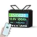 Dyness LiFePO4 12V 100Ah Lithium Batterie Bluetooth Mini mit 100A BMS, Max.15000 Zyklen, 12V Deep Cycle Lithium Eisenphosphat Batterie für Wohnmobile und netzunabhängige Anwendungen