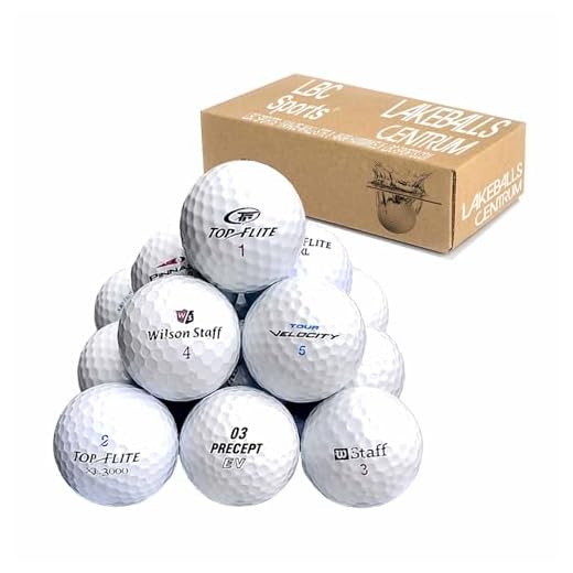 lbc-sports | Lakeballs Mix | 100 STÜCK | Golfbälle | AAA/AA | Qualität | im Netzbeutel