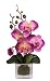 Produktbild Flair Flower Mini Phalaenopsis im Glas, Stoff, rosa, 24 x 12 x 9 cm