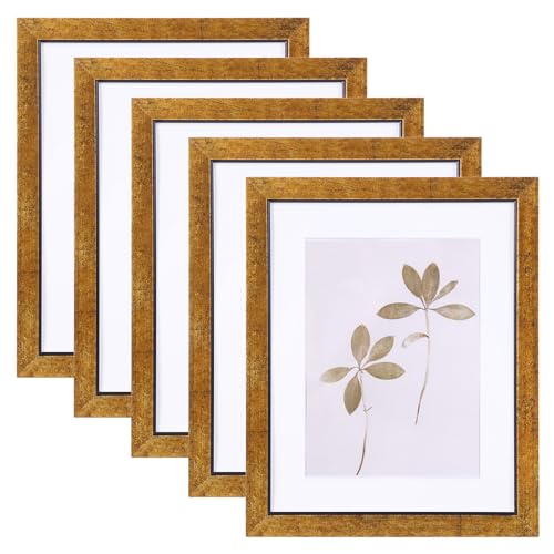 Fixwal 8x10 Picture Frame Set of 5 with Tempered Glass, Brown