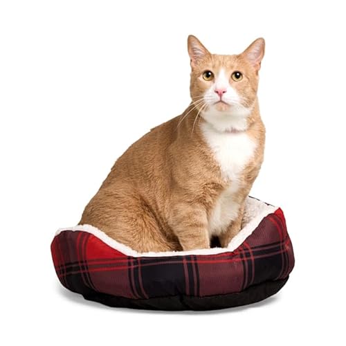 EveryYay by Petco Essentials Step-in Cat Bed 16" H X 16" W X 5" H Small Buffalo Check