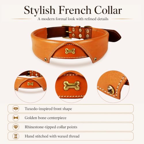 Image of Genuine Leather Tuxedo Shirt Dog Collar, Large, Tan, Cushioned Padding | Brass Buckle, Large, D Ring, Heavy Duty, Padded, Fit Neck Size 18.5 inch-22.5 inch