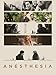 Anesthesia