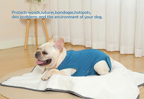 Image of Dog Surgery Recovery Suit - After Spay, Abdominal Wounds Post Surgical Recovery, Anti Licking Breathable Dog Onesies for Small, Medium & Large Pet, Alternative Bandages Cone E-Collar
