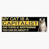 Leyland Designs My Cat is A Capitalist Sticker Outdoor Rated Vinyl Sticker Decal for Windows, Bumpers, Laptops or Crafts 5'