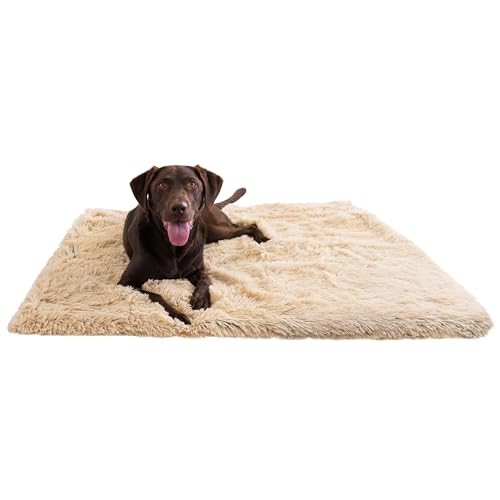 Best Friends by Sheri Calming Shag Dog Blanket, Taupe, 40