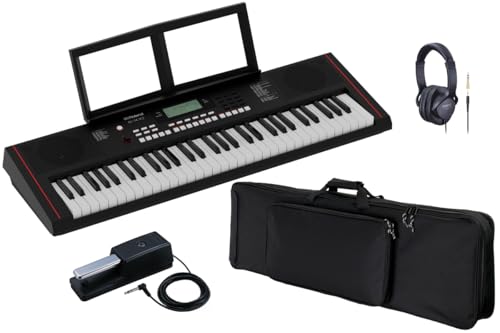 Roland ���[�����h/E-X10 [�w������L�������O�E�o�b�O �� �_���p�[�y�_���Z�b�g�I] Arranger Keyboard (EX10)