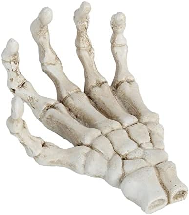 Halloween Decorations - Skeleton Props for Teaching Aids: Lightweight Hard- Aluminum Bone Decor with Ornaments Skeleton Hand Ornaments as Tool Brackets
