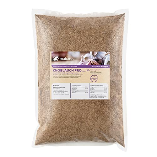 Knoblauchpulver In Bio Qualität Jetzt Bei Bestellen