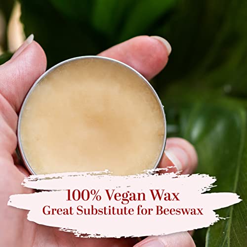 Carnauba Wax | Wax For Car, Wood And Leather Finish | Food Grade, Pure | Vegan Wax For Soap Making, Diy Lip Balms And Salves | 1 Lb (16 Oz) By Better Shea Butter #TOP3
