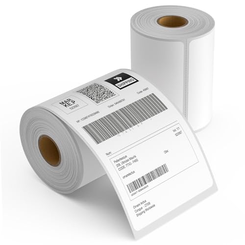 2 Rolls 4" x 6" Direct Thermal Printer Label, 250 Labels/Roll, Total 500 Thermal Shipping Labels, Strong Adhesive, Commercial Grade, Perforated, Compatible with Most Thermal Printers (NOT for DYMO)