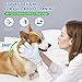 VOISEN 48 Pcs Pet Glove Wipes for Dogs and Cats, Cleaning & Deodorizing Bathing Grooming Wipes,Unscented Thick Nourish Fur Glove Wipes for Pet Dry Cleaning,Daily Care and Travel