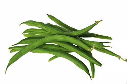 Organic Green Beans, Locally Grown, 1 Pound