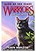 Warriors Cats Dawn of The Clans Prequel Book 1-6 Series 5 Books Collection Set By Erin Hunter(The Sun Trail, Thunder Rising, The First Battle, The Blazing Star, A Forest Divided & Path of Stars)