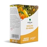Quelato de Hierro para Plantas y Arboles 1 KG | Abono Carencia Hierro Fertilizante | Cura y Previene la Clorosis Férrica (Hojas Amarillas) | Soluble en Agua Nutriente Fundamental Plantas | Sipcam (1)