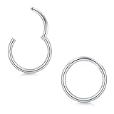 Longita 2 Piezas Piercing Nariz Aro Plateado 0.8mm 20G - Acero Inoxidable 316L Clicker 10mm Aro de Nariz - Piercing Aro Sin Costuras para Septum Hélix Tragus Conch Labio Cartílago Aro Segmento