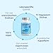 Magnesiumcitrat 365 Kapseln - Elementares Magnesium Hochdosiert - Gut verträgliches & hoch bioverfügbares Tri-Magnesium Dicitrat - Vegan, laborgeprüft & ohne Zusätze
