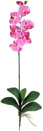 Miniatura 8 de Nearly Natural 2044-MA Phalaenopsis - Juego de 12 unidades