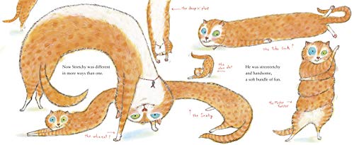 Stretchy McHandsome - Image 4