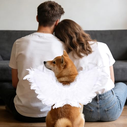 Disfraz de San Valentín para Perro con Alas de Ángel Blanca y Diadema de Corazón miniatura 7