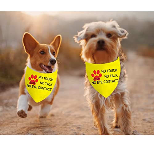 Stop Dot Not Pet/No Touch No Talk/Do Not Distract Hundehalstuch, Kein Auge D