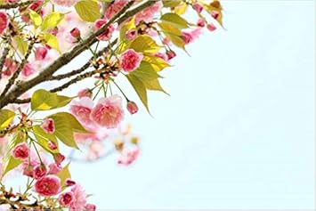 WallSkin Interior Non-Woven Washable 3D Wallpaper Size 5 x 5 (25 Sqft) PVC for Living Room Bedroom Commercial Space Celling Design-7