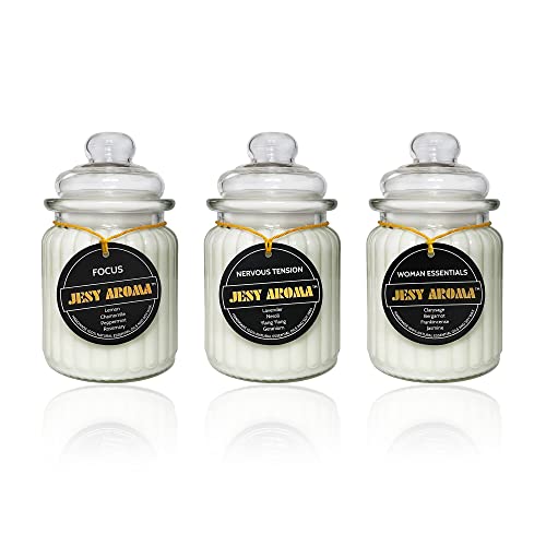 Premium All Natural Aromatherapy Candle | Lemon, Chamomile, Peppermint & Rosemary | Gifts For Women | Relaxing & Relief | Scented Candle #TOP1