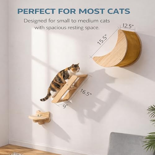 Juego de estantes de pared para gatos de madera sólida miniatura 5