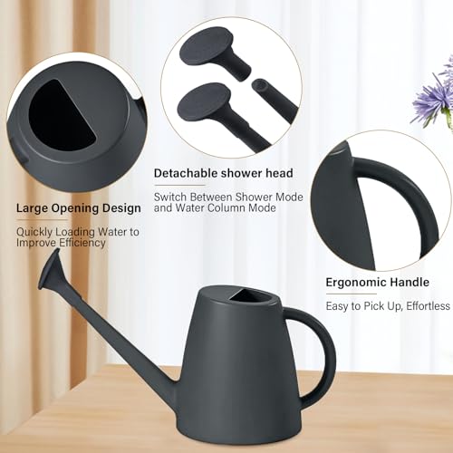 Image of Plastic Watering Can - for Home Plant Garden - 1 /2 Gallon - Grey