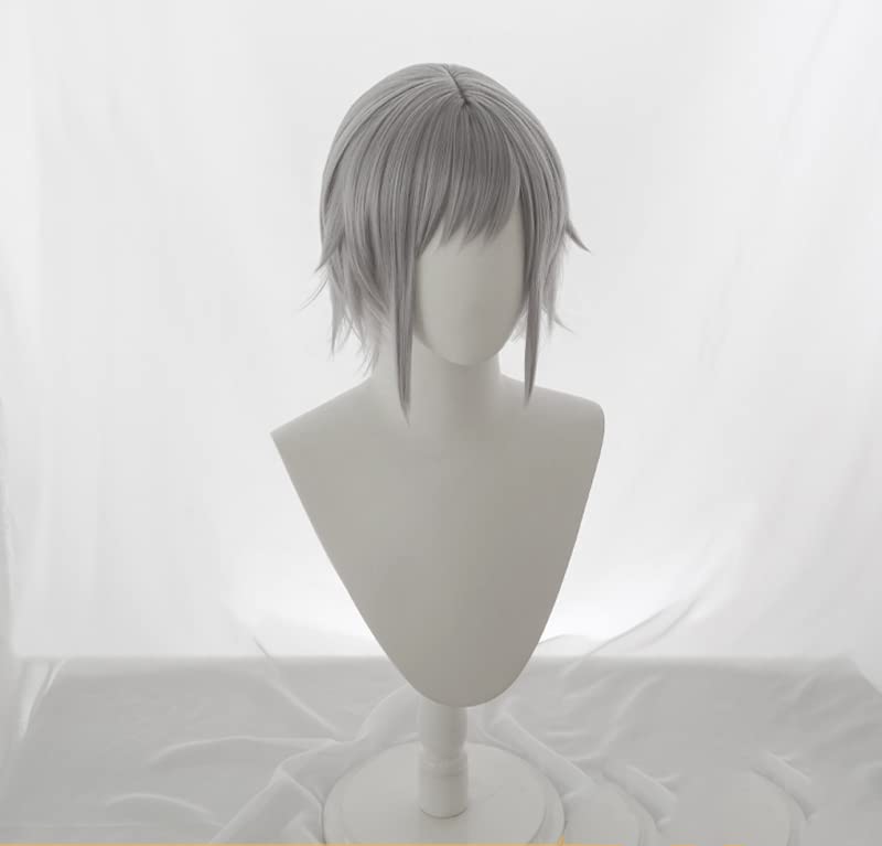 Amazon.com: osseoca Cosplay wig short silver grey 35cm  display picture 1
