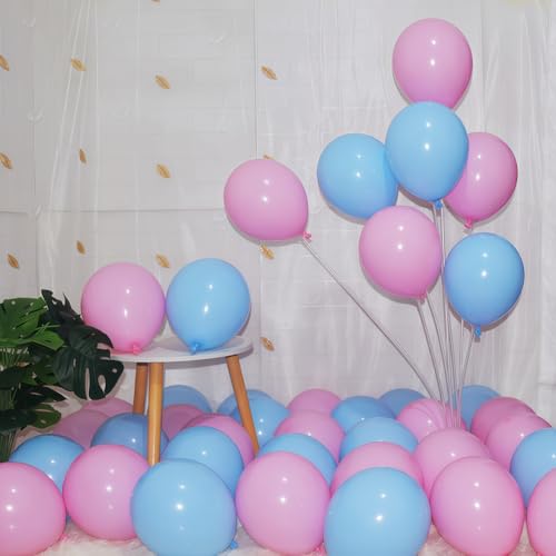 Image of 200 Pcs Pink and Blue Balloons 5 Inch Macaron Pastel Blue Pink Latex Small Balloon Garland Arch Kit for Baby Shower Birthday Bridal Shower Wedding Anniversary Gender Reveal Party Decorations