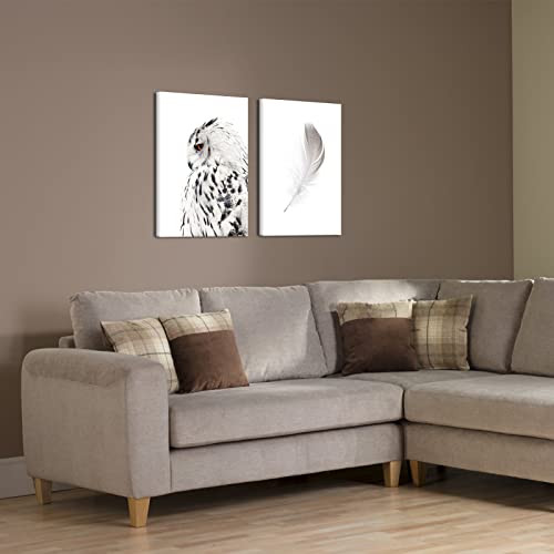 Sechars White Wall Art Canvas Grey Owl Pictures Feather Paintings Modern Bedromm Living Room Decor16X24 Inch #TOP2