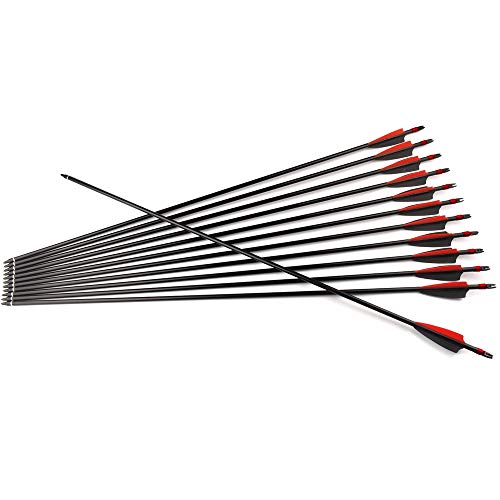 ANTSIR 30 Inches Spine 500 Fiberglass Arrow Diameter 8mm with Explosion-Proof for Recurve/Compound Bow Archery Hunting Shooting