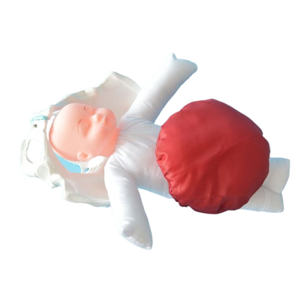 Amazon.co.jp: 骨盤出産モデル、助産師訓練モデル、女性の骨盤と