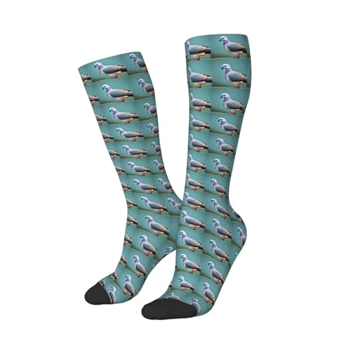 cartoon pigeon 4 print Clash of colours long socks, sports running cycle long socks, comfort long socks2