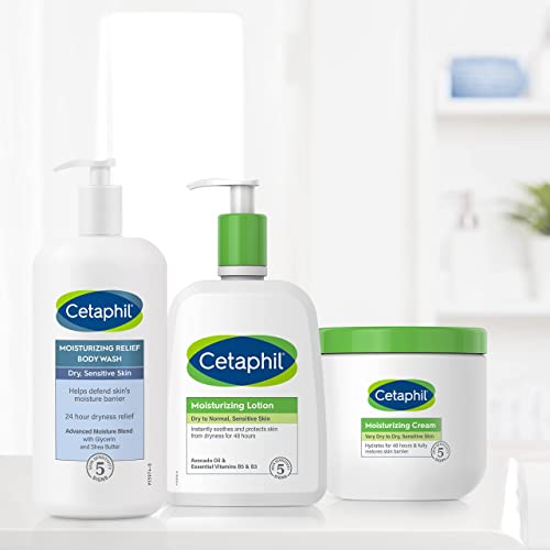 The 13 Best Cetaphil Body Wash of 2024 [Verified] Cherry Picks