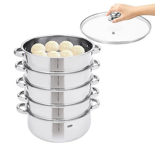 Vaporizador de alimentos de acero inoxidable de 5 niveles, para el hogar y la cocina, color plateado, con mango antiquemaduras y tapa de vidrio, apto para lavavajillas