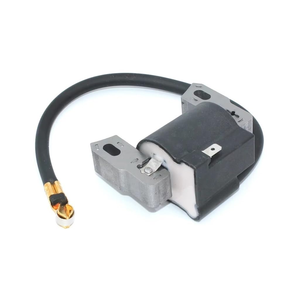 Bobina de encendido de alta chispa para optimizar motores serie 122M02 y 124L02