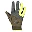 Hi|viz/Olive