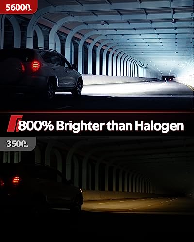 Image of Torchbeam T6S 9005 H11 ledlights for car, Headlight Bulbs 96000 Lumens, High Performance Halogen Replacement, High Beam Low Beam Fog Light Bulbs, 2 Pack