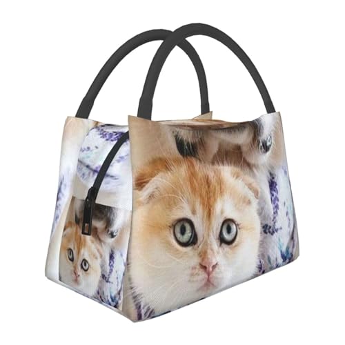 Lƌ10 `obO ٓ e y ۗ ۉ 􂦂  sNjbNp d [ ʋ ʊw fMobO ܂肽 VbsOobO RrjobO  N[[obO lp jp p qp