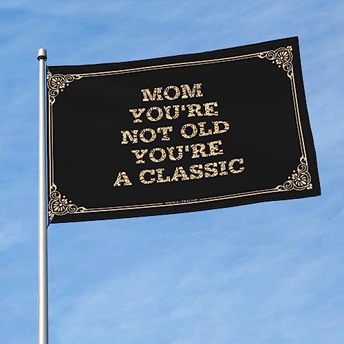 Bar For Man Cave Mom,You'Re Not Old, A Classic Flag Funny Dorm Room Flags Funny Room Decor(60X90cm)