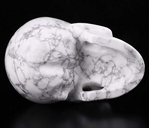 Skullis 5.0" Howlite Crystal Skull, Hand Carved Gemstone Fine Art Sculpture, Reiki Healing Stone Statue. #TOP5